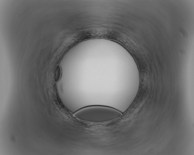 X0000113991153200910021004