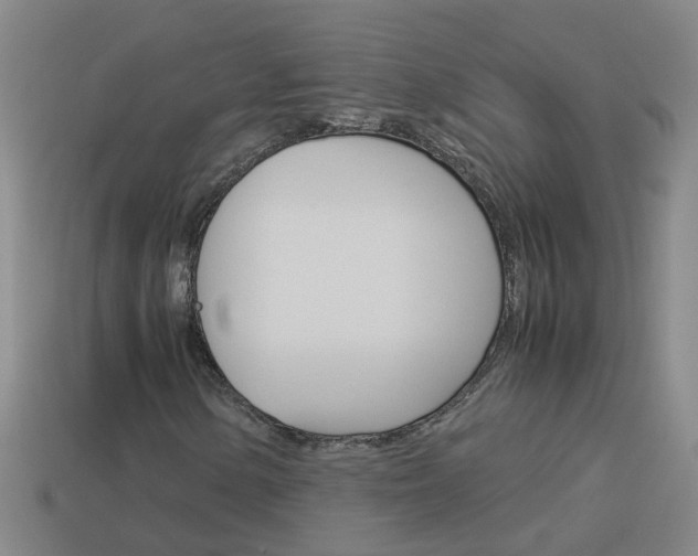 X0000113991154200910021004