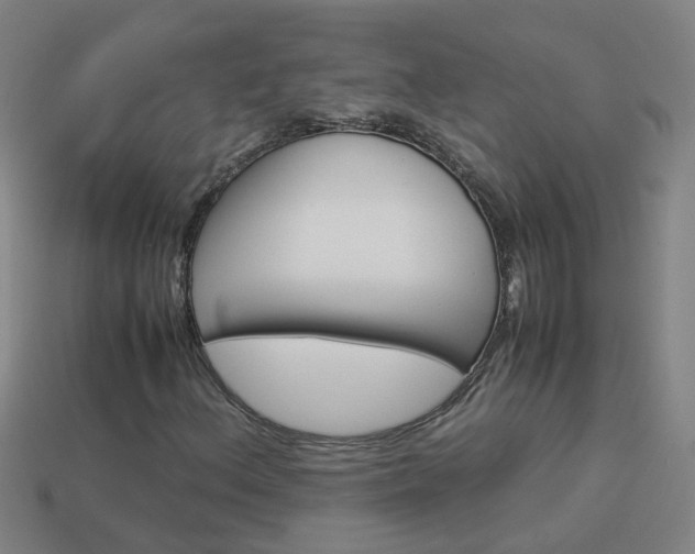 X0000113991156200910021004