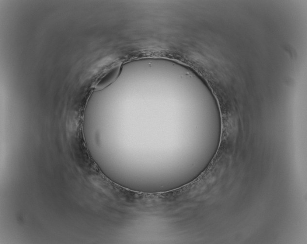 X0000113991157200910021004