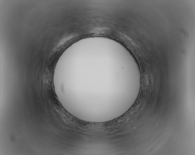 X0000113991158200910021004