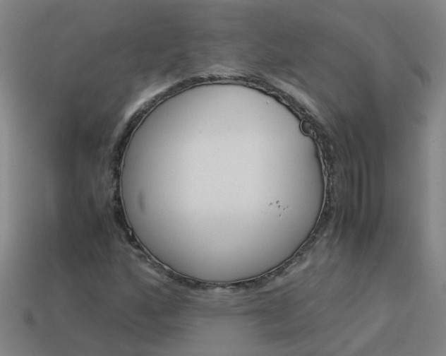 X0000113991160200910021004