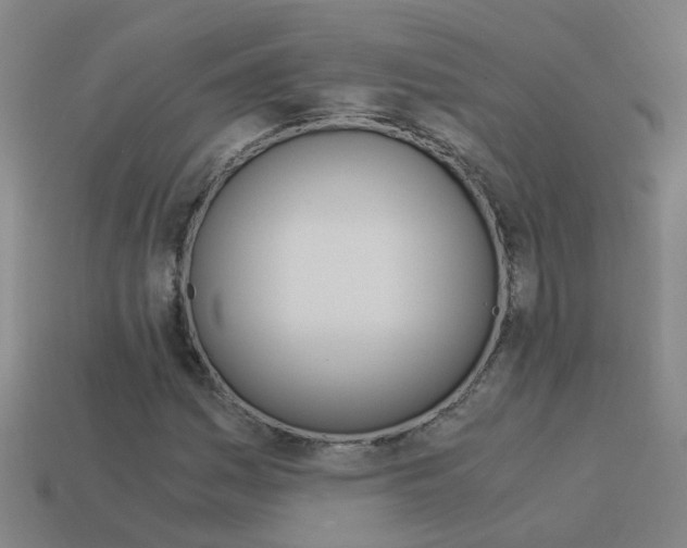 X0000113991161200910021004