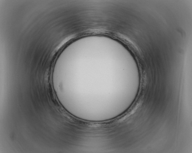 X0000113991162200910021004