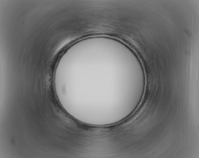 X0000113991163200910021004