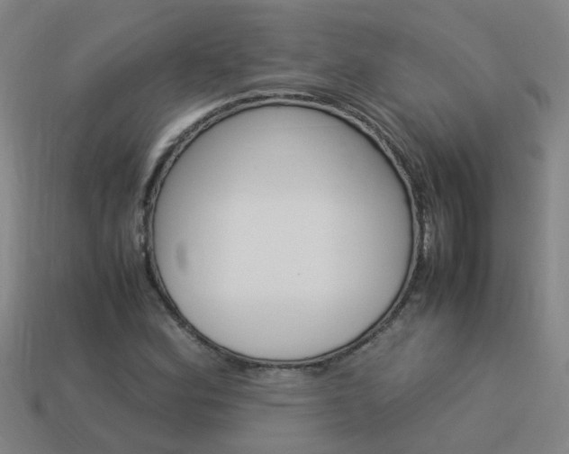 X0000113991164200910021004