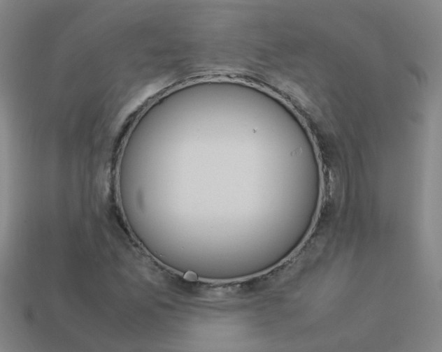 X0000113991165200910021004