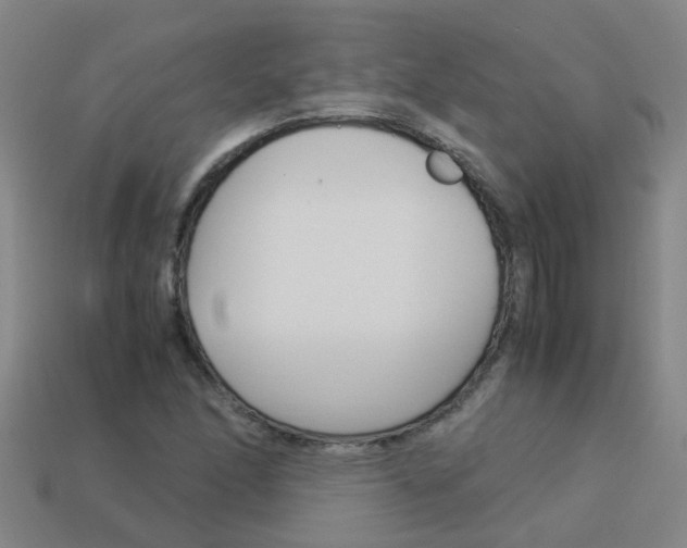 X0000113991166200910021004