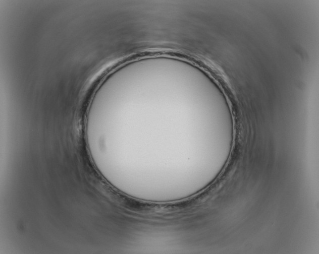 X0000113991167200910021004