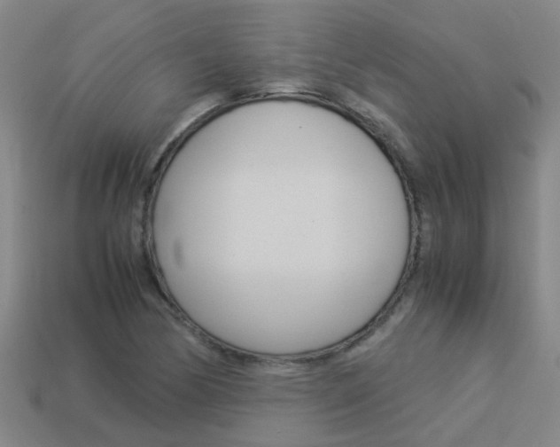X0000113991170200910021004