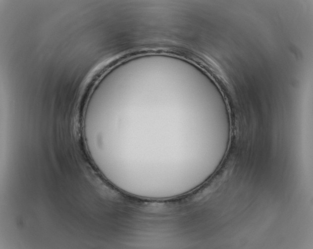X0000113991172200910021004