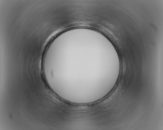 X0000113991174200910021004