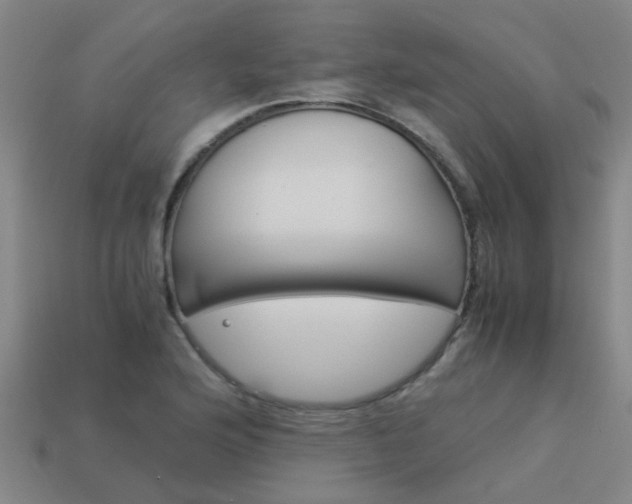 X0000113991176200910021004