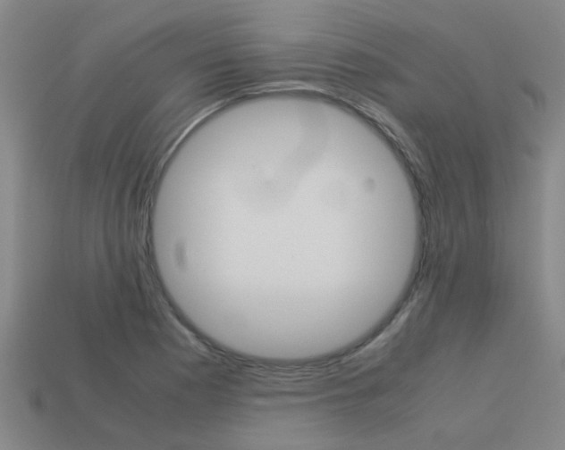 X0000113991177200910021004