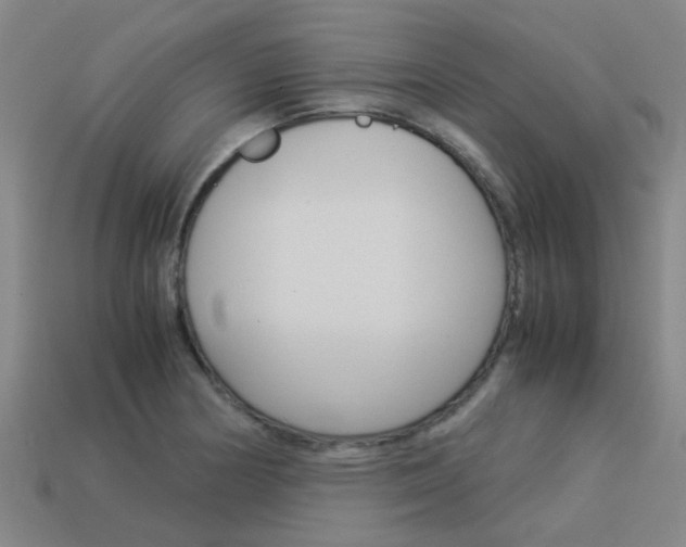 X0000113991178200910021004