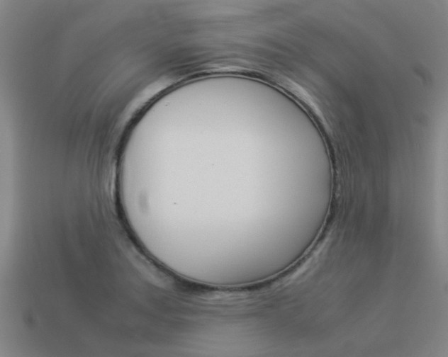 X0000113991179200910021004