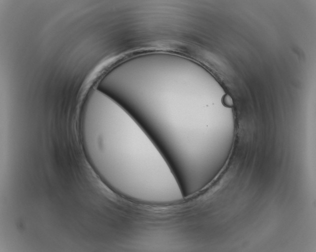 X0000113991180200910021004