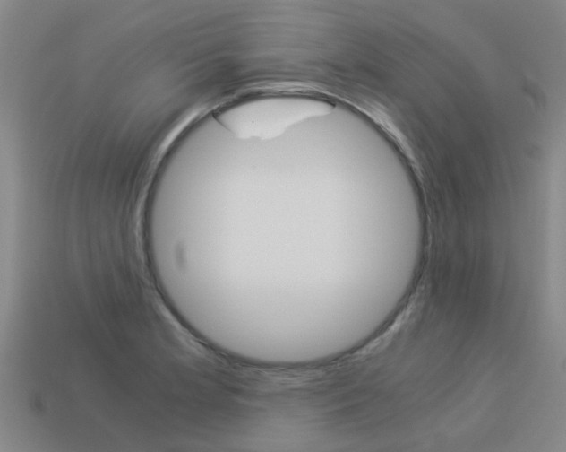 X0000113991181200910021003