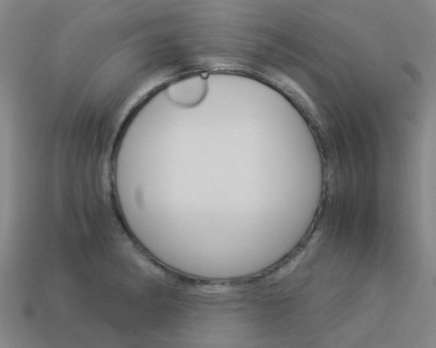 X0000113991182200910021003