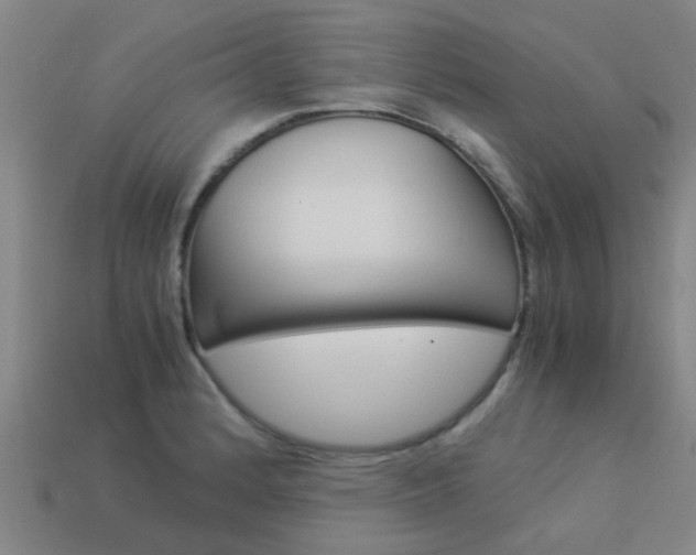 X0000113991184200910021003