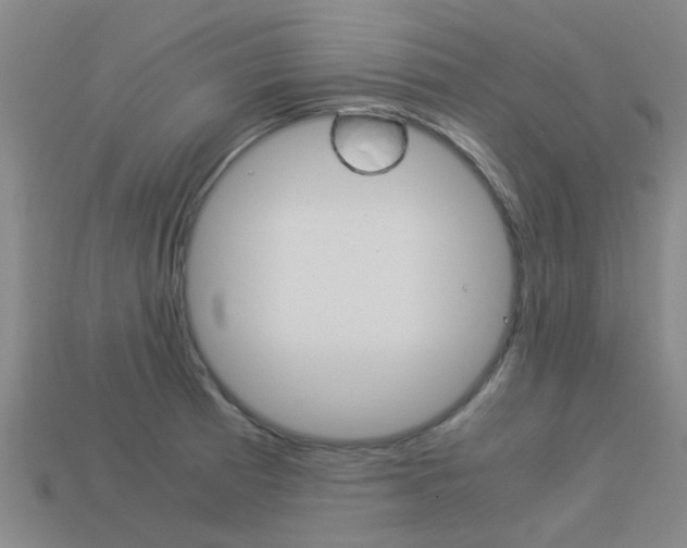 X0000113991185200910021003