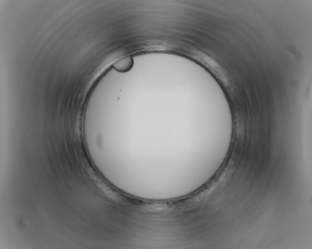 X0000113991186200910021003