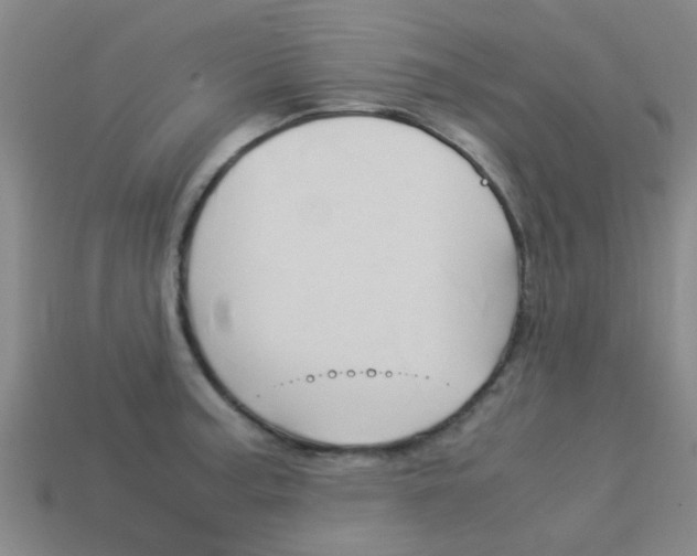 X0000113991187200910021003