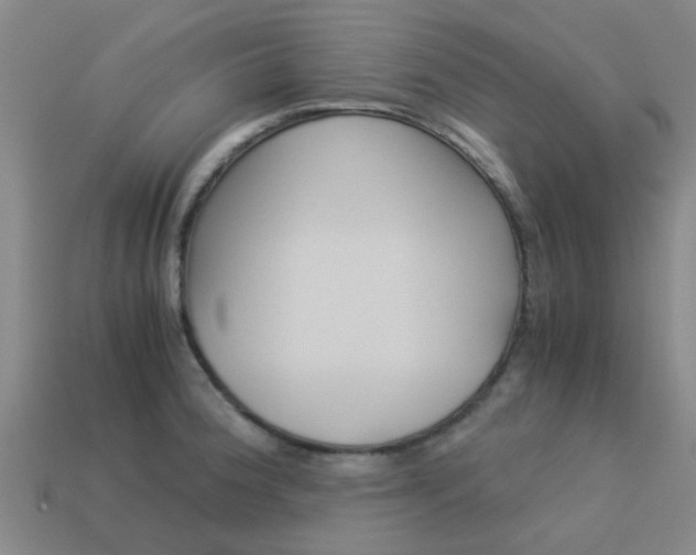 X0000113991188200910021003