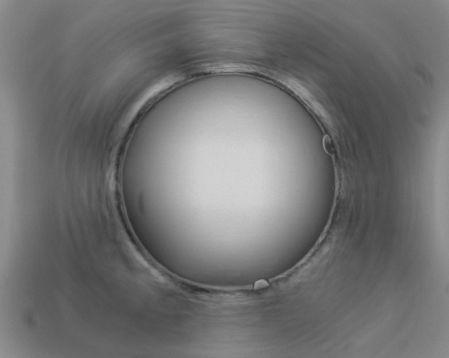X0000113991189200910021003