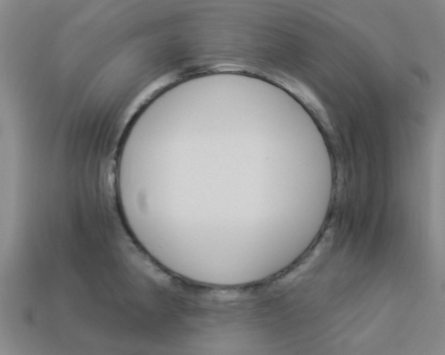 X0000113991190200910021003