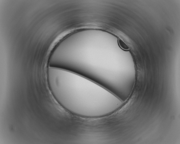 X0000113991192200910021003