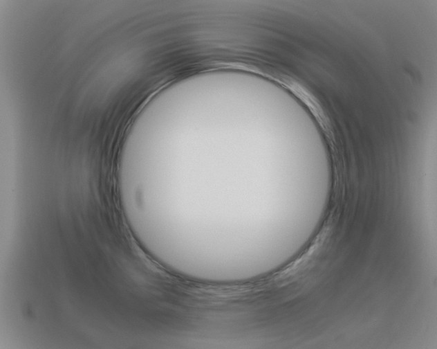 X0000113991193200910021003