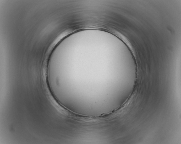 X0000113991195200910021003