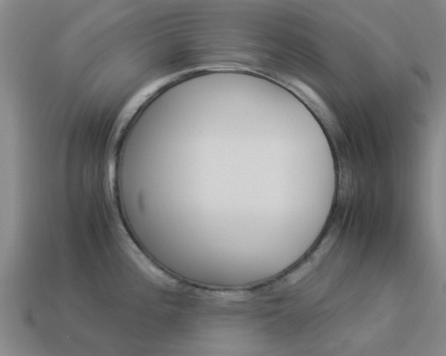 X0000113991196200910021003