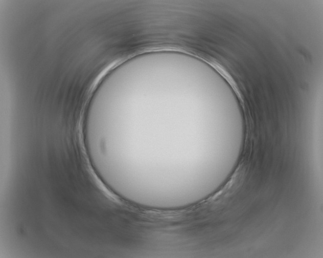 X0000113991197200910021003