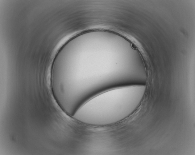 X0000113991199200910021003