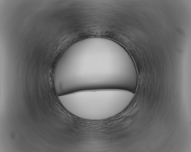 X0000113991202200910021003