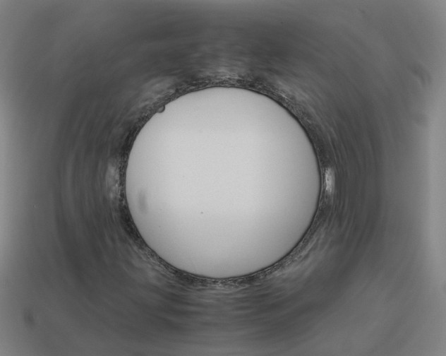 X0000113991203200910021003