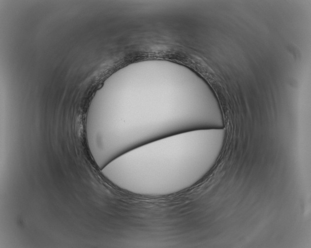X0000113991204200910021003