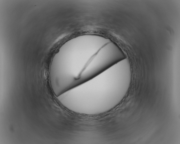 X0000113991206200910021003