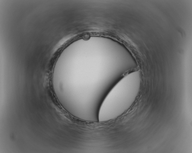 X0000113991208200910021003