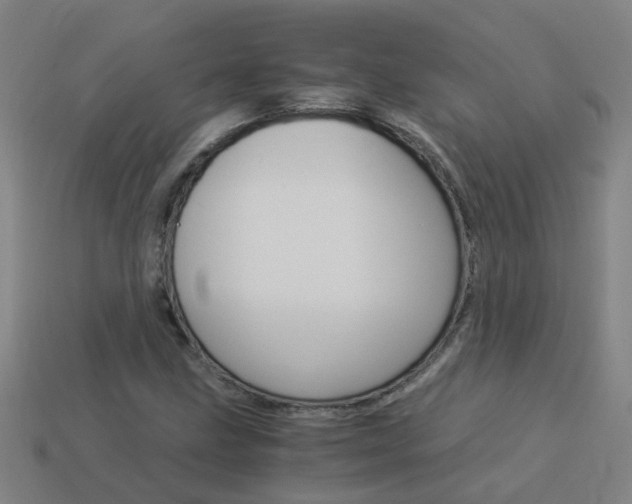 X0000113991211200910021003