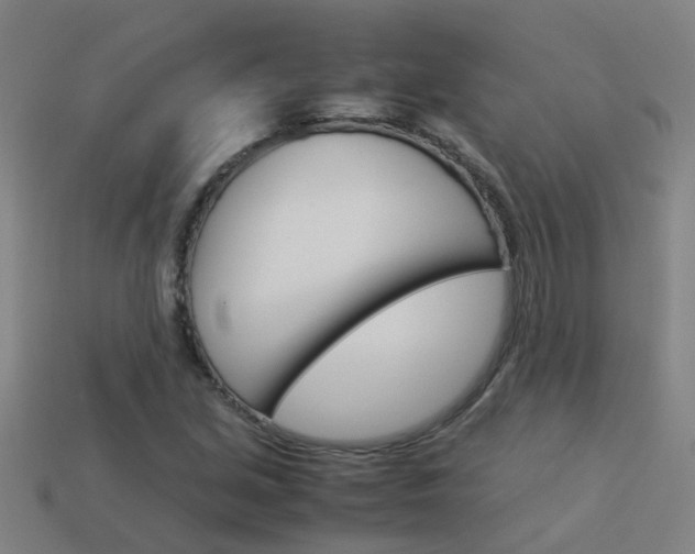X0000113991213200910021003