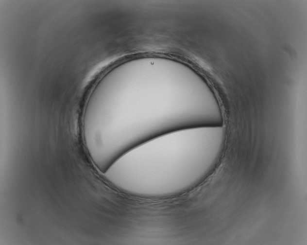X0000113991214200910021003