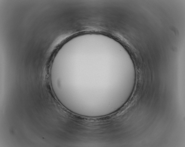 X0000113991215200910021003