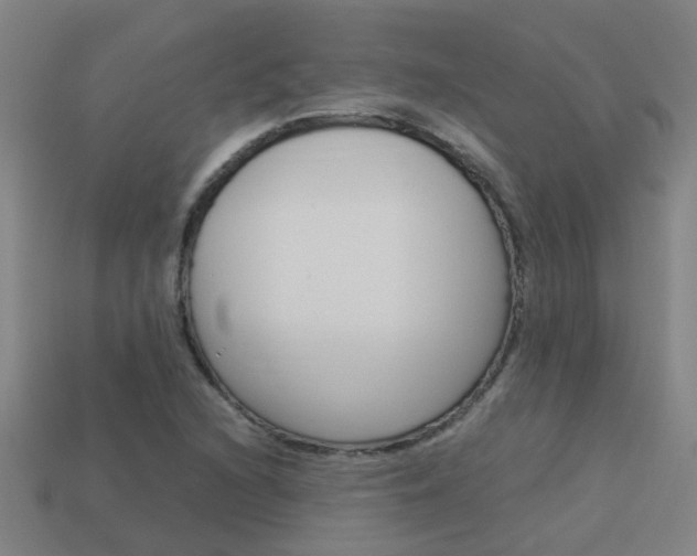 X0000113991216200910021003