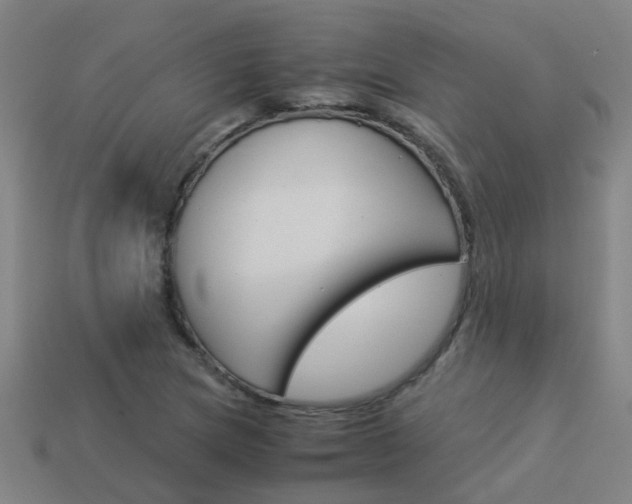 X0000113991217200910021003