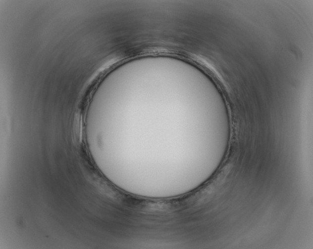 X0000113991219200910021003