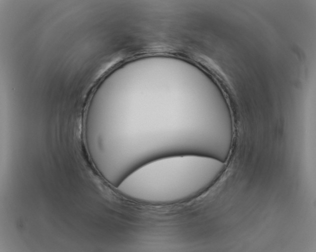 X0000113991220200910021003