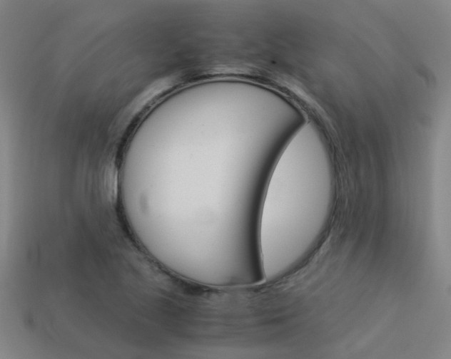 X0000113991221200910021003